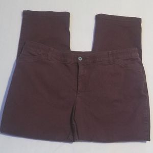 Women's Petite cjBanks maroon Jean's size 18W